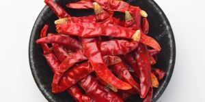 Shark 1 Dry Red Chilli