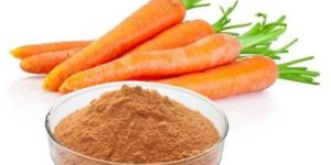 Carrot Powder