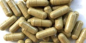 Ginkgo Biloba Capsule