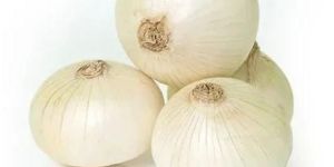 a Grade White Onion
