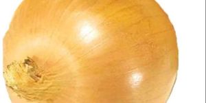 a Grade Yellow Onion