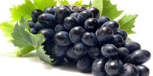 Fresh Black Grapes