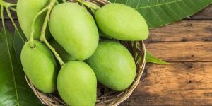 Green Organic Raw Mango