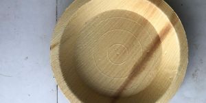 8 Inch Areca Leaf Plate
