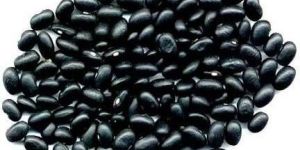 Black Kidney Beans