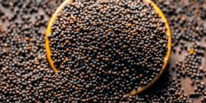 Black Natural Mustard Seeds