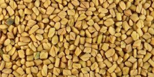 Dried Fenugreek Seeds