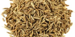 Organic Cumin Seeds