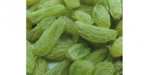 Green Raisin