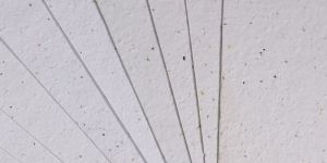 Plantable Seed Paper