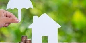 Property Insurance