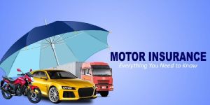 Insurance Consultant