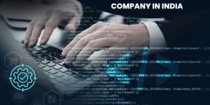 Software Development Services