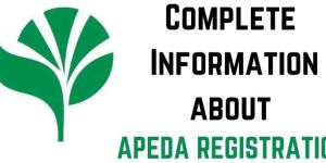 Apeda Registration Service