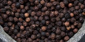 Black Pepper