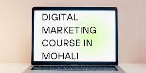 Digital Marketing Agency