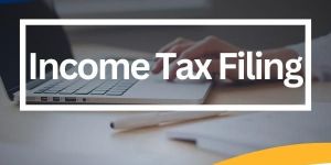 Income Tax Filing Service