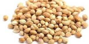Badami Coriander Seeds
