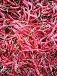 Taja S17 Dry Red Chilli