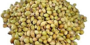 Eagle-Coriander Seeds
