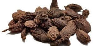 Extra Bold Dana Black Cardamom