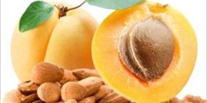 Bitter Apricot Kernels