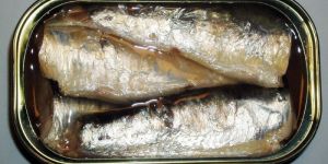 Canned Sardine Fish