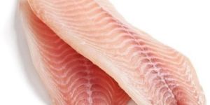 FROZEN TILAPIA FISH FILLET