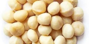 Macadamia Nuts