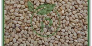 Natural Sesame Seeds