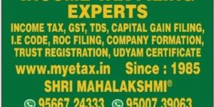 INCOME TAX FILING EXPERTS