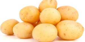 Fresh Potato