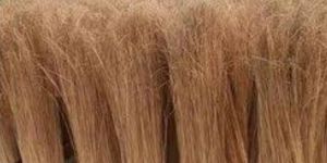 Coconut Broom Stick