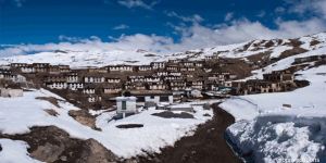 Family Tour Services