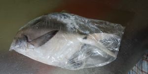 Pomfret Fish
