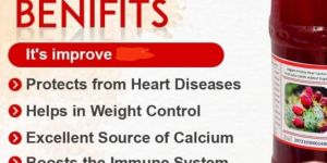 Findala Cactus Fruits Juice