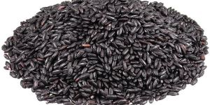 Black Rice