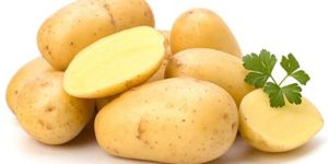 Potato