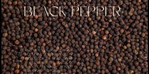 Black Pepper