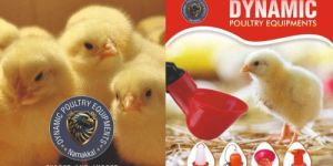 Poultry Farm Equipment