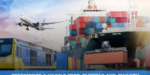 Courier Custom Clearance Service