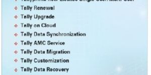 Tally Accounting Software