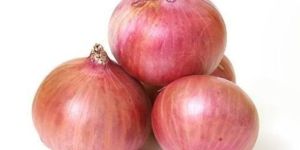 Fresh Pink Onion