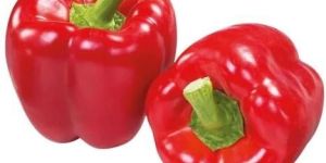 Fresh Red Capsicum