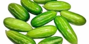 Fresh Tendli