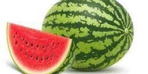 Fresh Watermelon