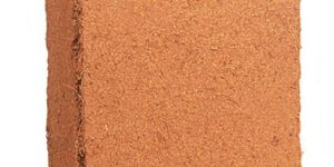 Coir Pith Blocks