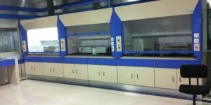 Walk-In Fume Hood