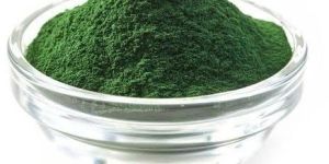 Dry Spirulina Powder