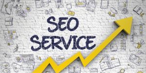 Search Engine Optimization Services